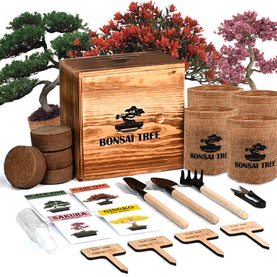 Sproutix Bonsai Garden Starter Kit, 4 Seeds Growing into Sakura, Ginkgo, Black Pine, Red Flame, Including Complete Gardening Tools & A Wooden Box with Cover, Christmas Gifts for Men Women Beginners