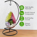 Creations by Nathalie - Plant Terrarium Kit W/Live Succulent (Fresh from Florida), Choose Your Glass DIY Terrarium Starter Kit for Adults, Metal Stand, Reindeer Moss, Crystal & Rocks, Tools, Figurine Creations by Nathalie