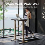 HUANUO 32" Small Electric Standing Desk Adjustable Height, 4 Memory Height Settings, Sit Stand Up Desk for Home Office & Computer Workstation, Black and Gold Frame HUANUO