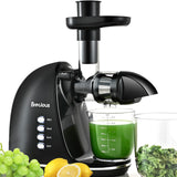 Slow Masticating Juicer,Brecious Cold Press Juicer with 2 Speed Modes & Quiet Motor,Juicer Machines Vegetable and Fruit with Reverse Function,Celery Juicer,BPA-Free,Easy to Clean (Black) BRECIOUS