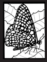 Beautiful Butterflies Stained Glass Coloring Book Dover Publications