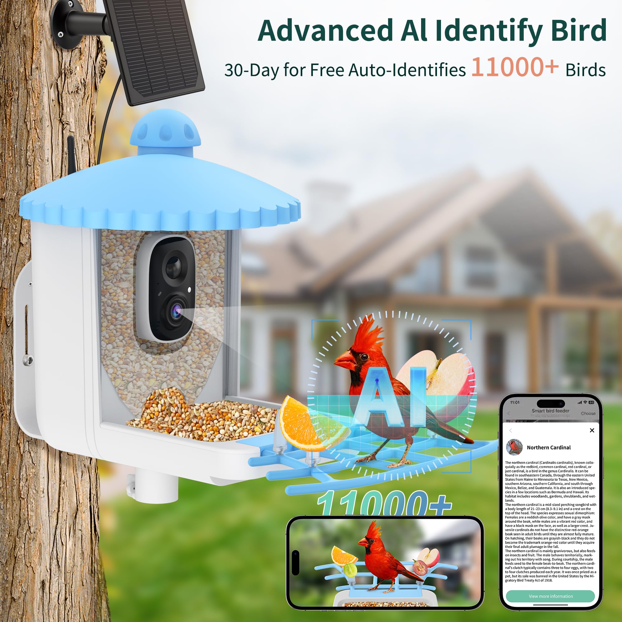 Twesync Smart Bird Feeder - Thumbnail 4