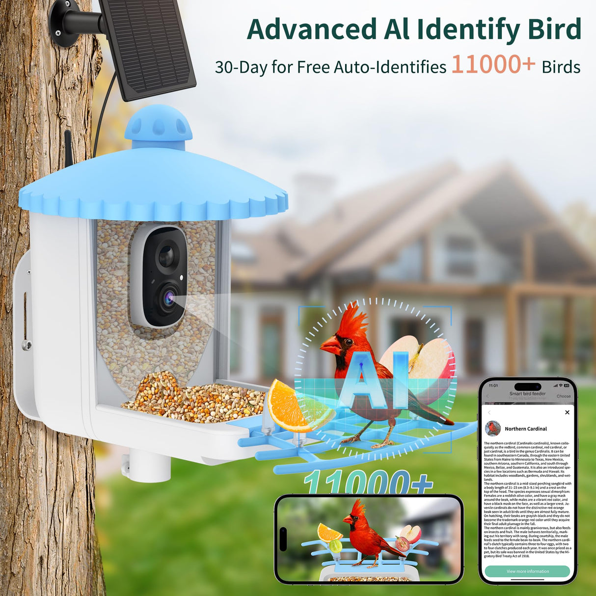 Twesync Smart Bird Feeder with Camera Solar Powered, 1080P HD AI Identify Wild Bird Feeder Camera Twesync