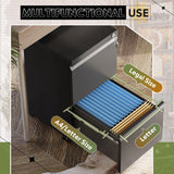 DEVAISE 2-Drawer Mobile File Cabinet with Lock, Vertical Filing Cabinet, Black DEVAISE