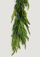 Afloral Real Touch Norfolk Pine Entry/Staircase Garland - 180" Long Afloral