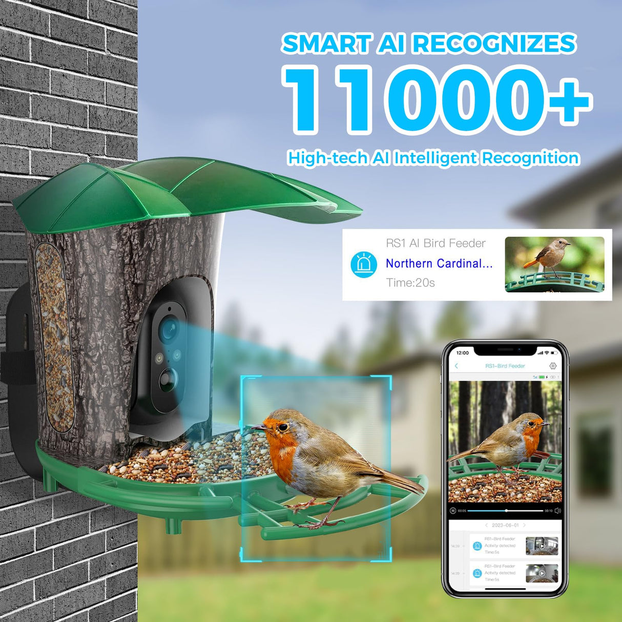 Smart Bird Feeder with Camera, Bird Watcher Camera with High Resolution AI Identify Bird Species with Solar Panels, Video Bird feeders with 180° Wide-Angle& Motion Detection,Ideal Gift for Bird Lover BEUTFQL
