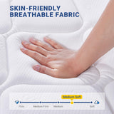 Avenco Queen Size Mattress, 12 Inch Queen Mattresses in a Box, Hybrid Spring Mattresses with Comfort Foam and Pocket Coils for Pressure Relief & Motion Isolation Avenco