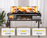 WALKINGDESK 55x24 Inches Electric Standing Desk with 2 Drawers, Height Adjustable Stand up Desk for Home Office, Ergonomic Sit to Stand Desk with Storage Shelf, DIY Board, Hooks, Black WALKINGDESK