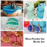 Silver Mica Powder Pigment (100g) -Cosmetic Grade Metallic Mica Powder for Epoxy Resin, Lip Gloss, Soap,Candle Making,Bath Bombs,Tumblers, Jewelry, Dyes, and DIY Crafting Projects(Silver Grey, 3.5oz) BIJIZME