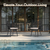 JOIVI Patio Dining Chairs Set of 2, Outdoor Rattan Chairs with Armrest and Cushions for Outside Lawn, Garden, Backyard, Indoor, Outdoor Dining Chairs, 350lb Weight Capacity, Black Patio Chairs JOIVI