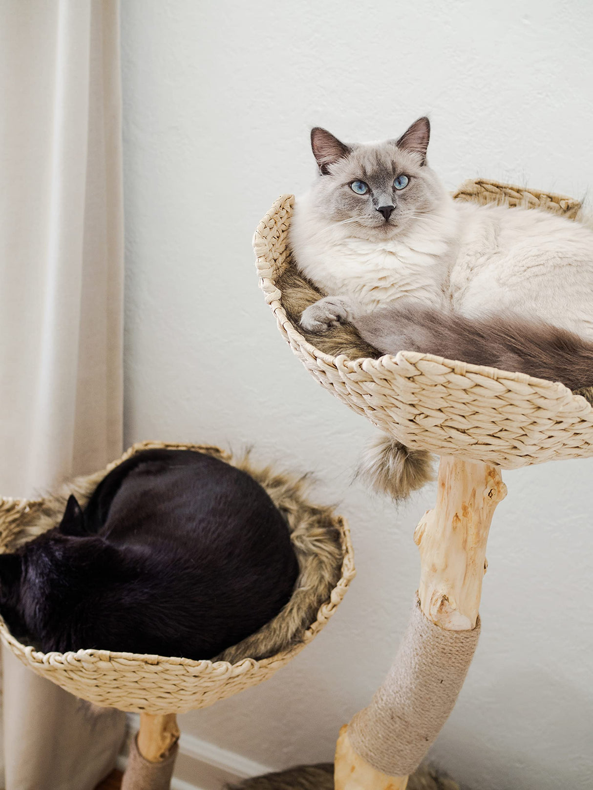 MAU Modern Cat Tree Tower for Large Cats, Real Branch Luxury Wood Cat Tower, Cat Scratching Tree, Cat Condo, Cat Lover Gift, by Mau Lifestyle Mau Lifestyle