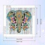 Tontut Elephant Diamond Art Painting Kits, 5D Special Shape Beginner Crystal Diamond Art Painting for Home Wall Decor Gifts 12×12 inch Tontut