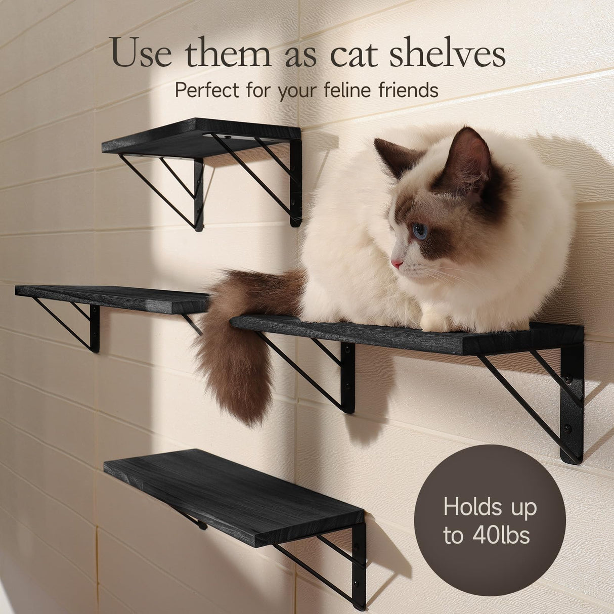 BAYKA Wall Shelves for Bedroom Decor, Floating Shelves for Wall Storage, Wall Mounted Rustic Wood Shelf for Books,Plants,Small Wall Shelf for Bathroom,Kitchen,Living Room(Black，Set of 4) BAYKA