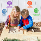 Dinosaur Excavation Archaeology Dig Kit for Kids, Fossil Explore Sensory Bin Toys, Dino Skeletons Bones Puzzle Game, Archaeology Science STEM Toys for Boys and Girls (Stegosaurus) Xylolin