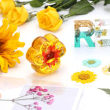 Etcokei Microwave Flower Press Kit - 4 Layer Quick Flower Pressing Tool, Great for Resin Arts, Scrapbooking, Nail Craft & DIY Arts - Adults & Kids Etcokei