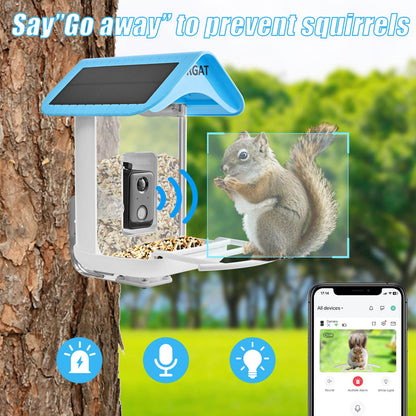 Smart Bird Feeder with Camera Dual Solar Powered, Motion Detection & AI Identify 11,000 Birds Recognition, 1080P HD Night Video Camera, Auto Notify &