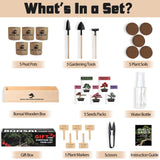 Sproutix Indoor Bonsai Garden Starter Kit, 5 Seeds Growing into Red Maple, Wisteria, Black Pine, Judas Tree, Acacia, Including Complete Gardening Planters & A Wooden Box, Christmas Gifts for Women SPROUTIX