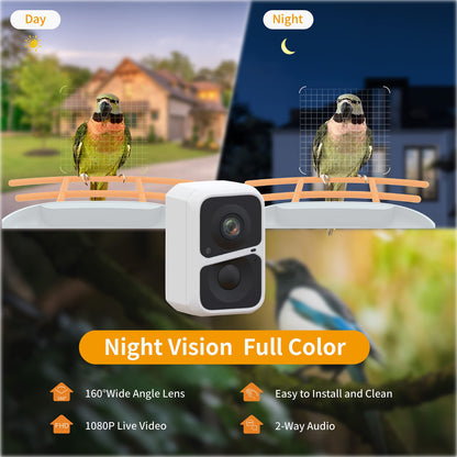 Smart Bird Feeder with Camera, AI Identify Bird, Solar Panel, 1080P HD Live Camera, Auto Capture Bird Video and APP, 2.4G WiFi Connection