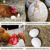 SunGrow Fake Wooden Eggs to Train Birds from Laying in The Nesting Boxes & to Stop from Eating Own Eggs, White Color, 5 Pack Suitable for Chicken and Duck SunGrow