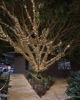 OZS 2Pack 164ft 400 LED String Lights Outdoor/Indoor, Extendable Electric Lights for Christmas Trees, Waterproof 8 Modes Green Wire Electric Holiday Lights for Christmas Decorations (Cool White) OZS