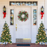Sggvecsy 21 Inch Artificial Christmas Wreath for Front Door Xmas Red Berry Wreath with Pine Needles Pine Cones Eucalyptus Leaves Christmas Hanging Decorations for Wall Outdoor Home Window Decor Sggvecsy