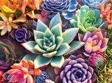 Buffalo Games - James Mertke - Simple Succulent - 1000 Piece Jigsaw Puzzle For Adults - High Quality Challenging Puzzle Perfect for Game Nights - Finished Puzzle Size is 26.75 x 19.75 Buffalo Games