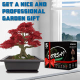 Sproutix Bonsai Starter Kit, 5 Seeds Growing into Acacia, Wisteria, Sakura, Red Maple and Black Pine, Including Complete Gardening Tools with A Gift Box, Christmas Gifts for Men Women Beginners SPROUTIX
