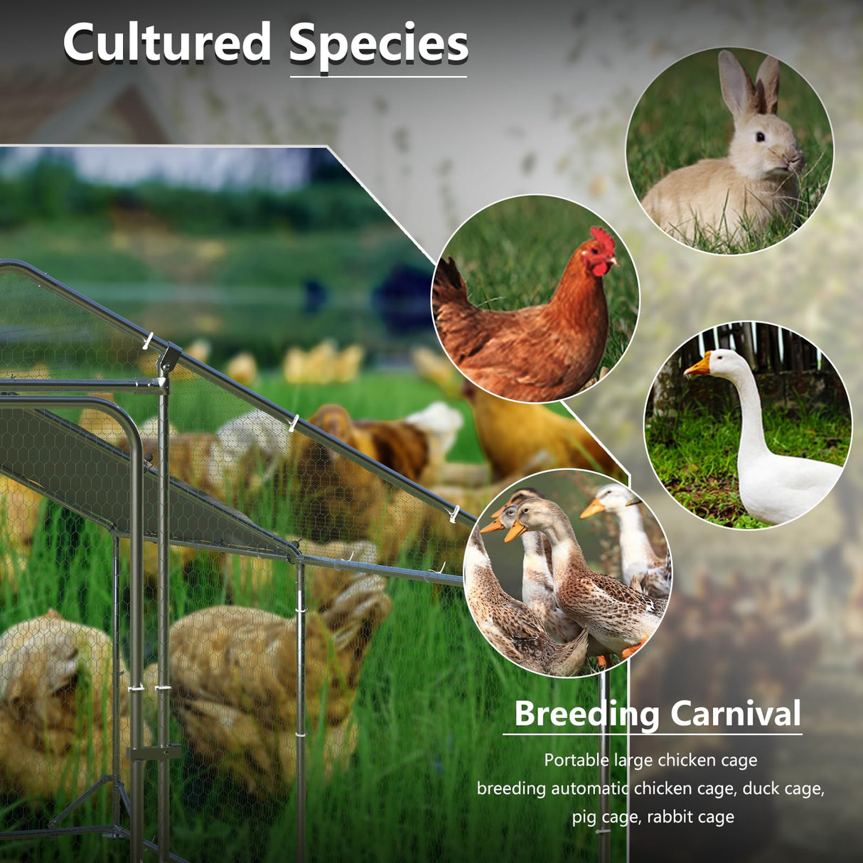 BOSSIN Bold Chicken Coop Run Large Metal Chicken Pen Outdoor, Poultry Cage Spire Shape, Heavy Duty Walkin for Yard with Waterproof and Anti-UV Cover, for Rabbits Habitat BOSSIN