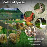 BOSSIN Bold Chicken Coop Run Large Metal Chicken Pen Outdoor, Poultry Cage Spire Shape, Heavy Duty Walkin for Yard with Waterproof and Anti-UV Cover, for Rabbits Habitat BOSSIN