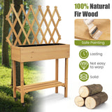Toolsempire Raised Garden Bed with Trellis, Fir Wood Elevated Planter Bed with Legs, 2 Lockable Wheels & Storage Shelf, Wooden Planter Box Raised Bed for Gardening, Backyard, Balcony & Greenhouse Toolsempire
