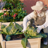 AMERLIFE 3-Tier Raised Garden Bed for Outdoor Gardening, Fir Wood Planter Box with Dividers, Tool-Free Assembly, Garden Box Perfect for Vegetables, Herbs, and Flowers AMERLIFE