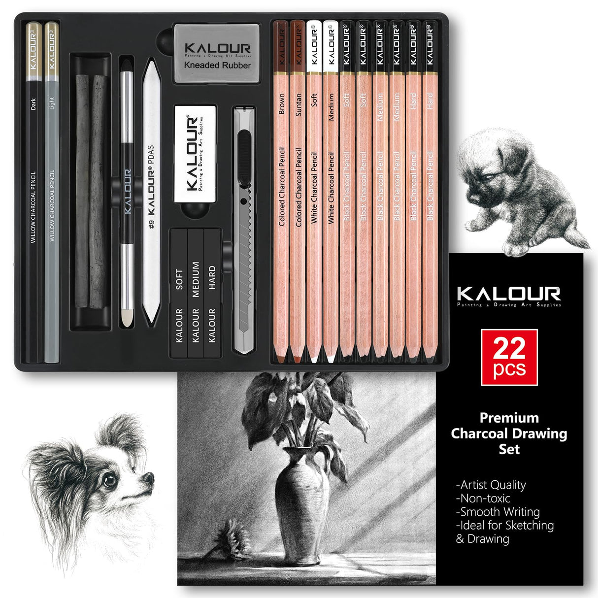 KALOUR PDAS 22pcs Charcoal Drawing Set, Professional Art Supplies, Black & White Charcoal Pencils for Drawing, Sketching, Shading, Blending, Artist Pencils for Beginners & Pro Artists KALOUR PDAS