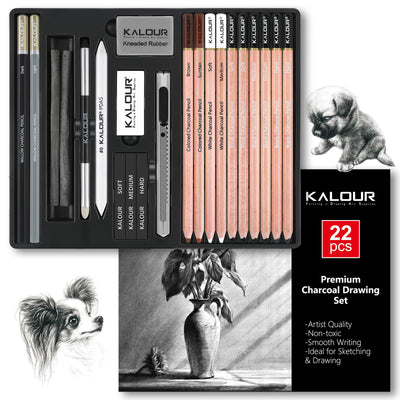 KALOUR PDAS 22pcs Charcoal Drawing Set, Professional Art Supplies, Black & White Charcoal Pencils for Drawing, Sketching, Shading, Blending, Artist Pencils for Beginners & Pro Artists