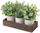 Dahey 3 Pack Mini Potted Artificial Eucalyptus Fake Plants with Wood Tray Centerpiece Table Decorations, Farmhouse Pulp Flower Pots Greenery Home Decor for Coffee Table Dining Room Office Kitchen Dahey