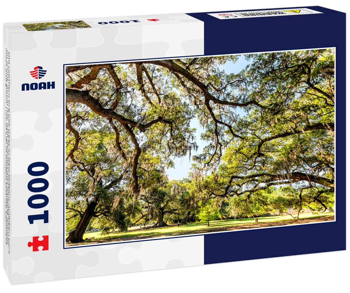 Noah Jigsaw Puzzle Old Southern Live Oak Trees in New Orleans Audubon Park on Sunny Spring Day with Benches and Hanging Spanish Moss and Green Tree of Life in Garden District, Louisiana 1000 Pieces WoodArtSupply