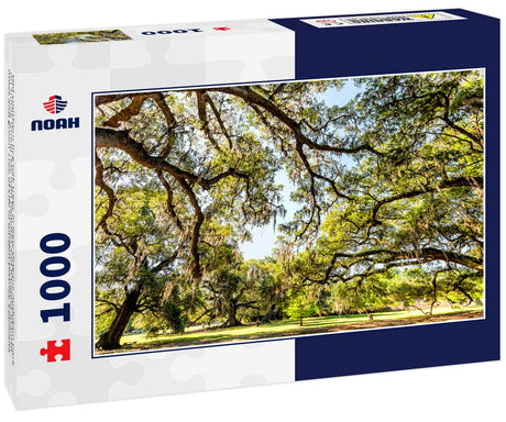 Noah Jigsaw Puzzle Old Southern Live Oak Trees in New Orleans Audubon Park on Sunny Spring Day with Benches and Hanging Spanish Moss and Green Tree of Life in Garden District, Louisiana 1000 Pieces WoodArtSupply