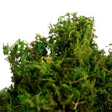 BYHER Artificial Moss Fake Green Grass for Centerpieces Home Kitchen Garden Decor (8OZ, Fresh) BYHER