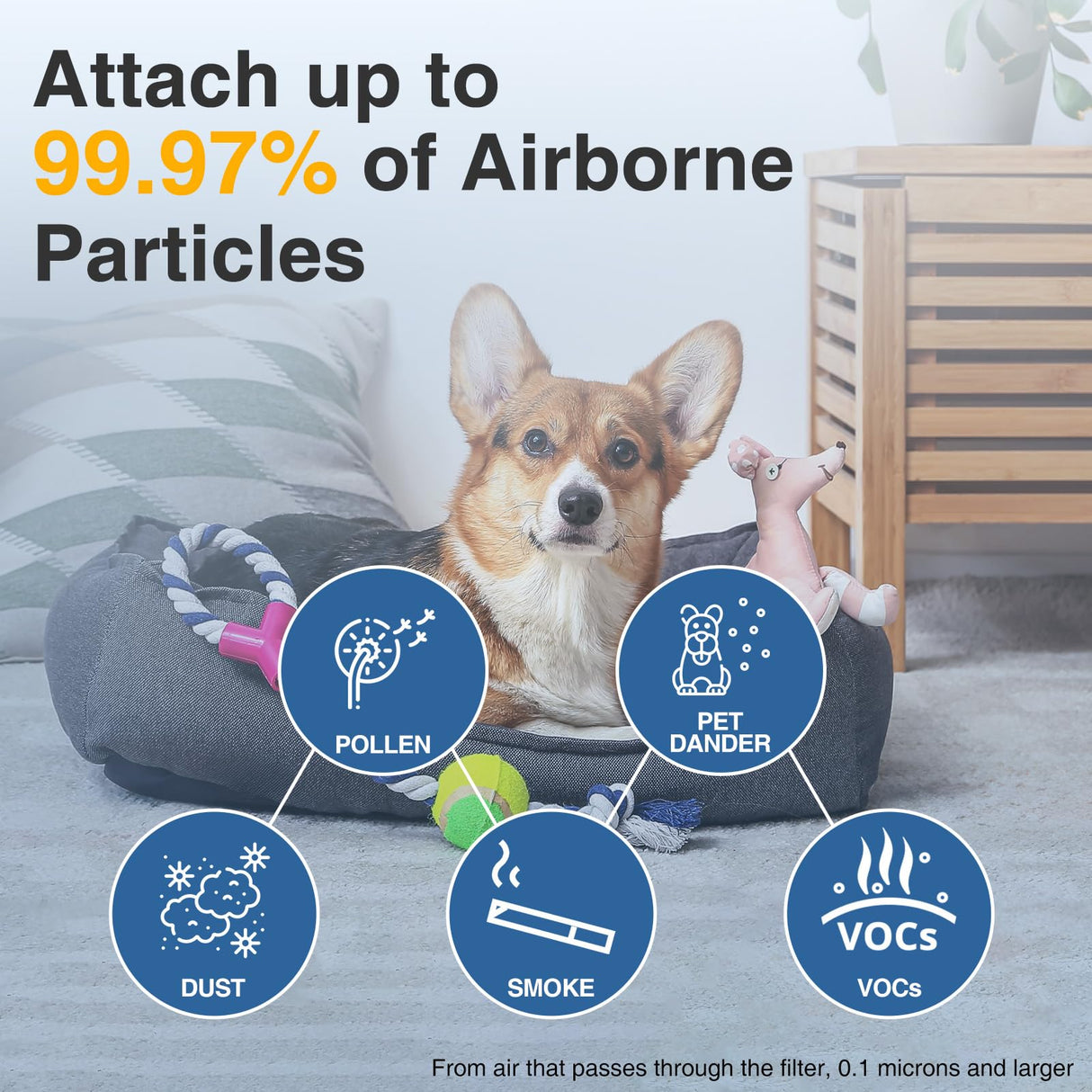 HPA300 HEPA Air Purifier Filter R for Honeywell Air Purifier HPA100/200/300 and 5000 Series, 6 Pack True HEPA Filter Compatible with Honeywell R Filter (HRF-R3 & HRF-R2 & HRF-R1) Cabiclean