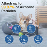 HPA300 HEPA Air Purifier Filter R for Honeywell Air Purifier HPA100/200/300 and 5000 Series, 6 Pack True HEPA Filter Compatible with Honeywell R Filter (HRF-R3 & HRF-R2 & HRF-R1) Cabiclean