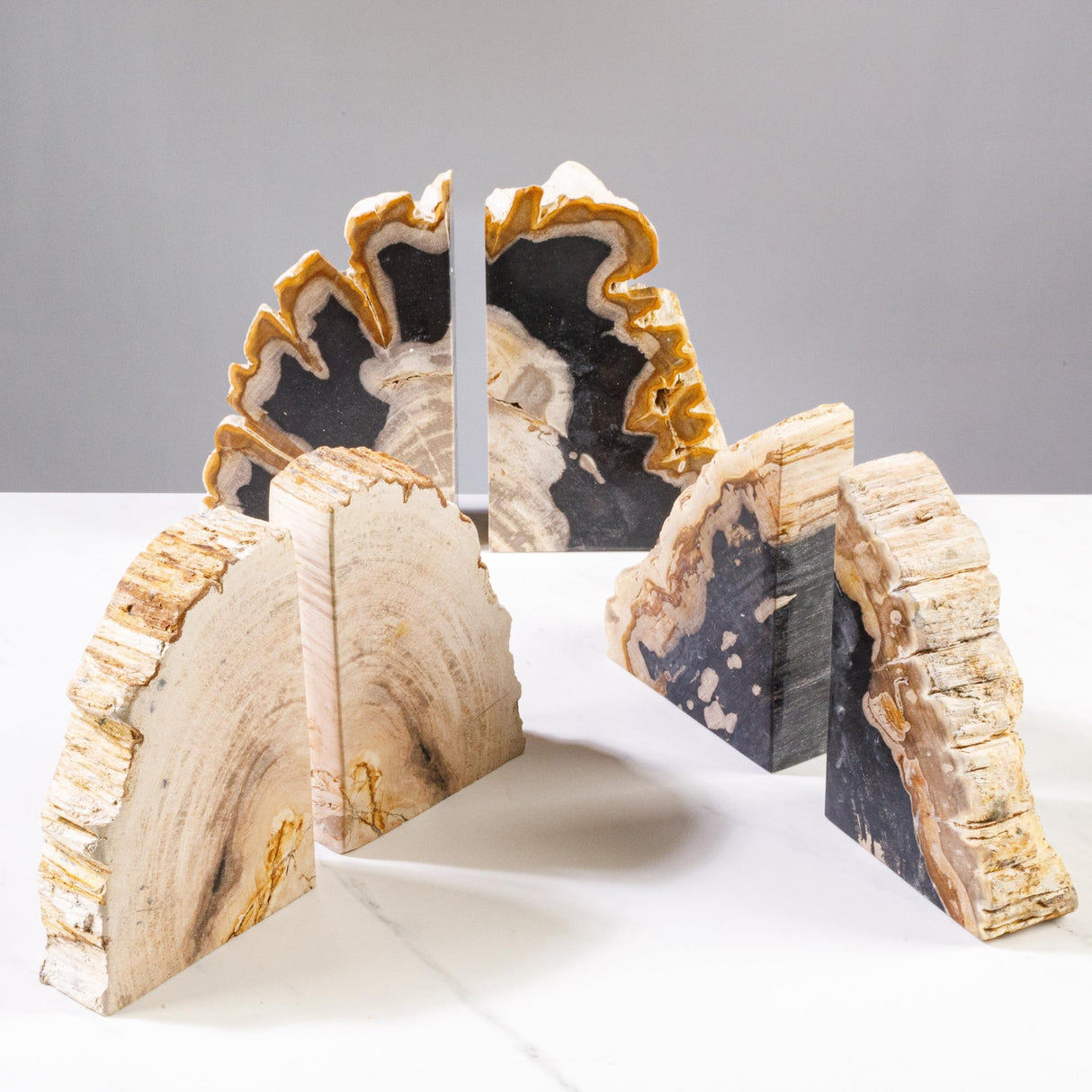 KALIFANO Petrified Wood Bookends Set - Real Natural Fossilized Wood Book End - Unique Stone & Crystal Home Decor (Family Owned & Operated) KALIFANO