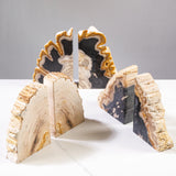 KALIFANO Petrified Wood Bookends Set - Real Natural Fossilized Wood Book End - Unique Stone & Crystal Home Decor (Family Owned & Operated) KALIFANO