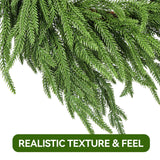 ENVEN 2 Pack 24" Norfolk Pine Wreath for Front Door, Artificial Christmas Wreath Faux Pine Green Wreath for Wall Windows Mantle Outdoor Outside Christmas Decoration ENVEN