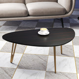 Manora Simple Dark Brown Oval Wood Coffee Table with Gold Legs, Modern Tea Table for Living Room or Office, Cute Small Center Table for Compact Space Manora