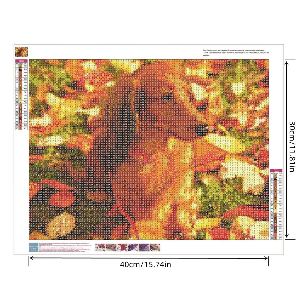 Zimal 5D DIY Diamond Painting Animal Dachshund Dog 100% Cover Round Diamond Embroidery Cross Stitch Paintings by Number 11.8 x 15.8 Inch Zimal