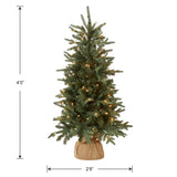 National Tree Company Pre-lit Artificial Mini Christmas Tree | Includes Small Lights and Cloth Bag Base | for Tabletop or Desk | Burlap-4 ft, 4', Green National Tree Company