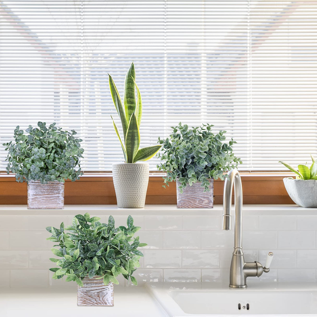 Winlyn Set of 3 Small Potted Plants Artificial Eucalyptus in Wood Box Faux Eucalyptus in Pots Desk Plants Greenery Centerpiece Table Decorations for Farmhouse Kitchen Windowsill Shelf Entryway Decor Winlyn