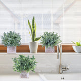 Winlyn Set of 3 Small Potted Plants Artificial Eucalyptus in Wood Box Faux Eucalyptus in Pots Desk Plants Greenery Centerpiece Table Decorations for Farmhouse Kitchen Windowsill Shelf Entryway Decor Winlyn