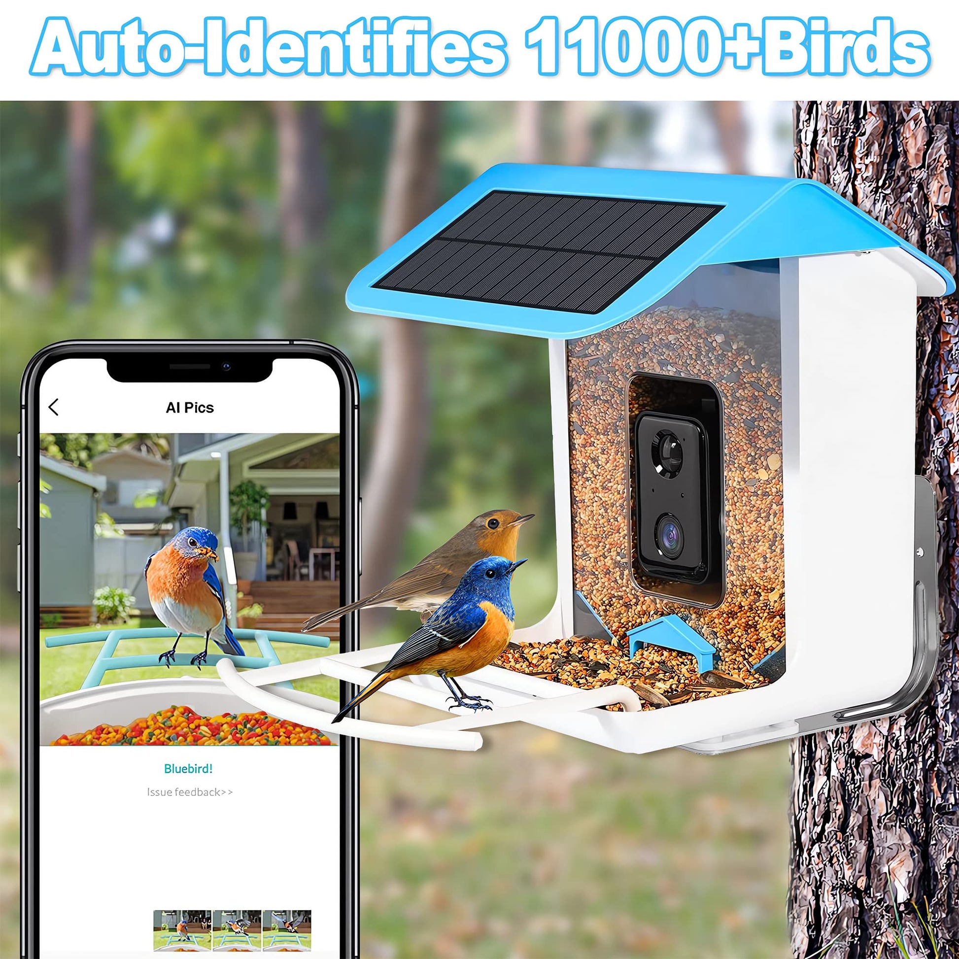 Smart Bird Feeder with Camera, Free AI Forever,1080P HD 2.4G WiFi Bird Camera Feeder & Solar Panel, App Notify When Birds Detected, Bird House with - WoodArtSupply