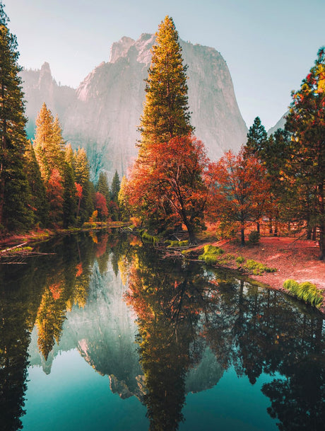 Buffalo Games - Noir - Wanderlust - Yosemite - 500 Piece Jigsaw Puzzle for Adults - Super Premium Puzzle Board - Quality Magnetic Storage Box with Display Sleeve - Photo Quality Imagery Buffalo Games