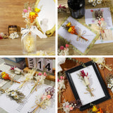 Chenkaiyang 6Pcs Mini Dried Flowers Bouquet, Mixed Natural Dried Flowers Gypsophila Bouquets Boutonniere Table Centerpieces Birthday Cake Flowers for DIY Crafts with 3 Flower Stickers 10m Hemp Rope Chenkaiyang